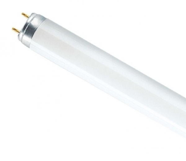 Лампа люминесцентная FT4 12Вт 6500К