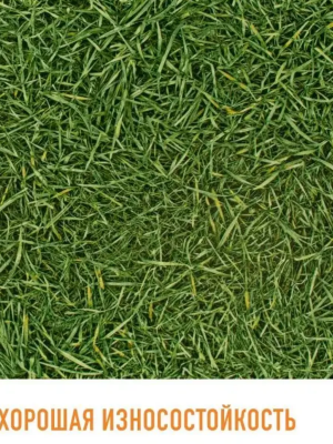 Линолеум бытовой Бинго Грасс 025 Линолеум бытовой Бинго Грасс 025