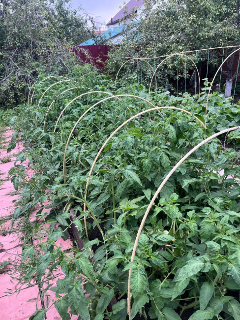 Колышки композитные для подвязки растений, 20шт в упаковке, Ø10мм Колышки композитные для подвязки растений, 20шт в упаковке, Ø10мм