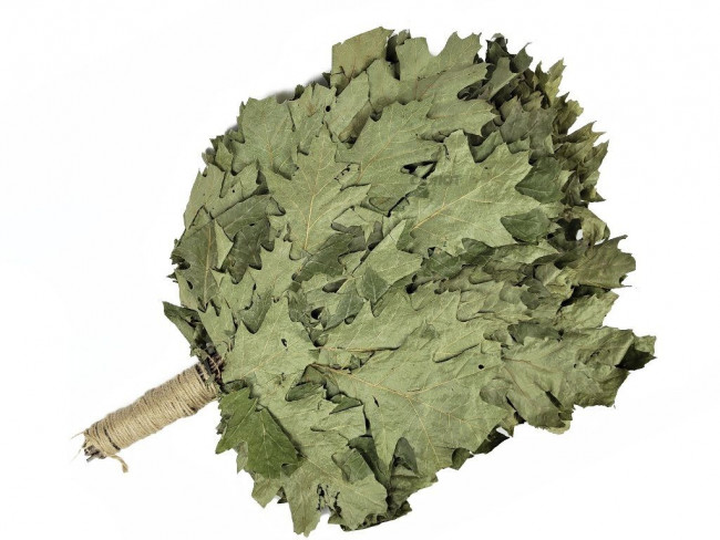 Веник для бани Дуб Канадский