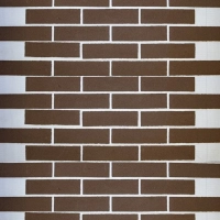 Гибкий камень